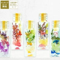 画像1300：商品紹介
