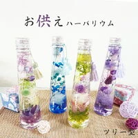 画像1306：商品紹介