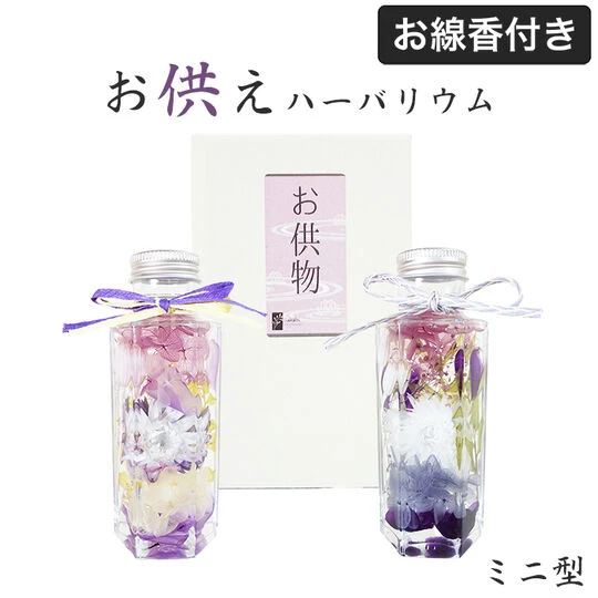 画像1308：商品紹介