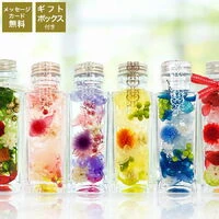 画像1314：商品紹介