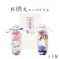 画像1322：商品紹介