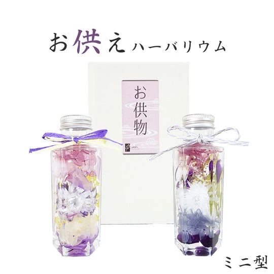 画像1322：商品紹介