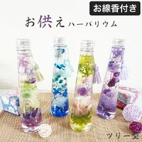 画像1324：商品紹介