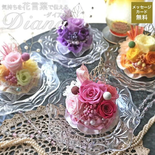 画像1340：商品紹介